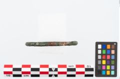 Foto von Bronzering (NHMW-PRAE-023658)
